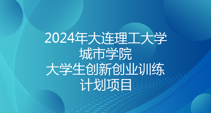 2024年大连理工大学城市学院大学生创新创业训练计划项目